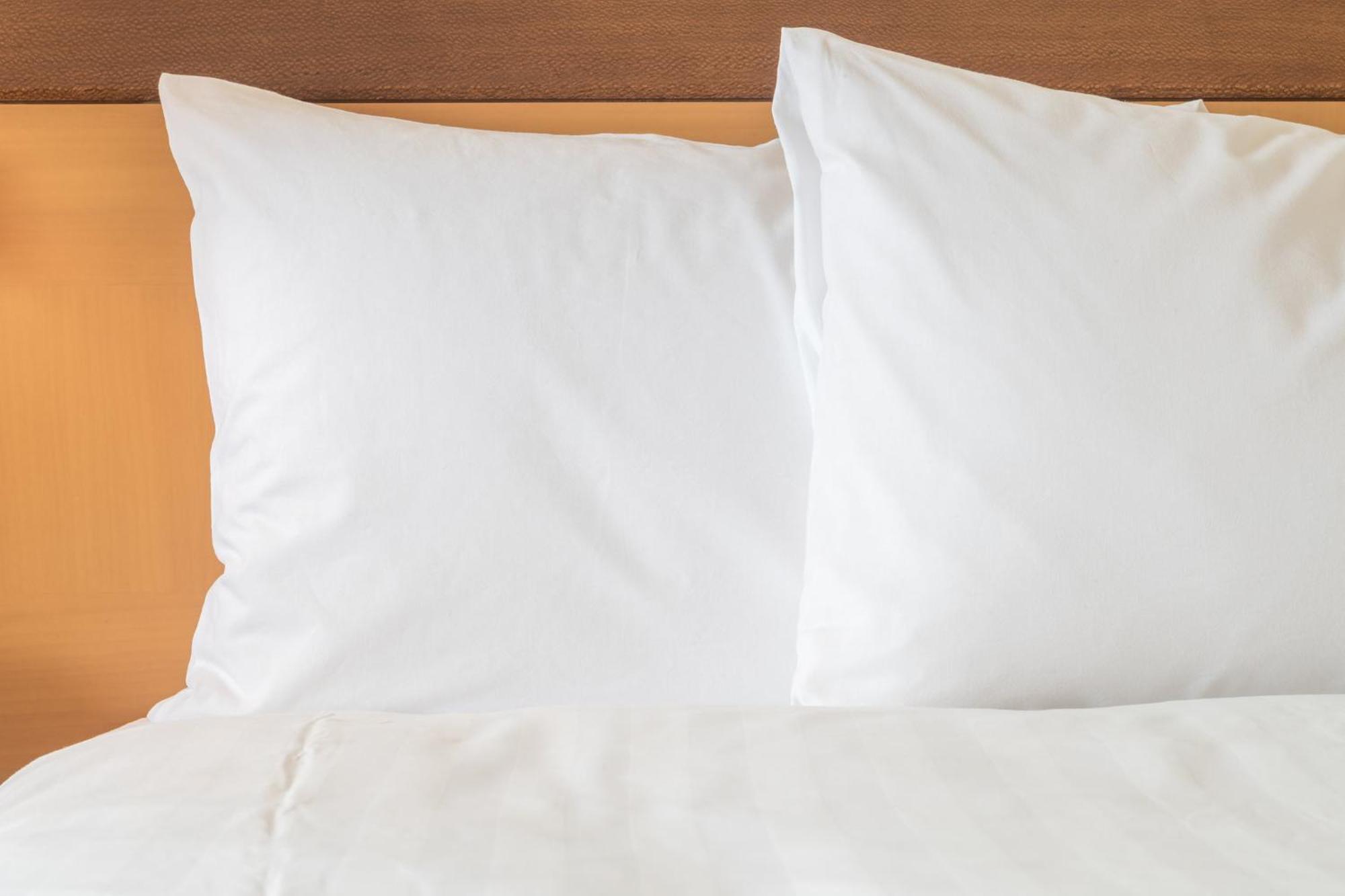 Best 2 Airport Hotels Near Great Wolf Lodge Concord for Easy Access