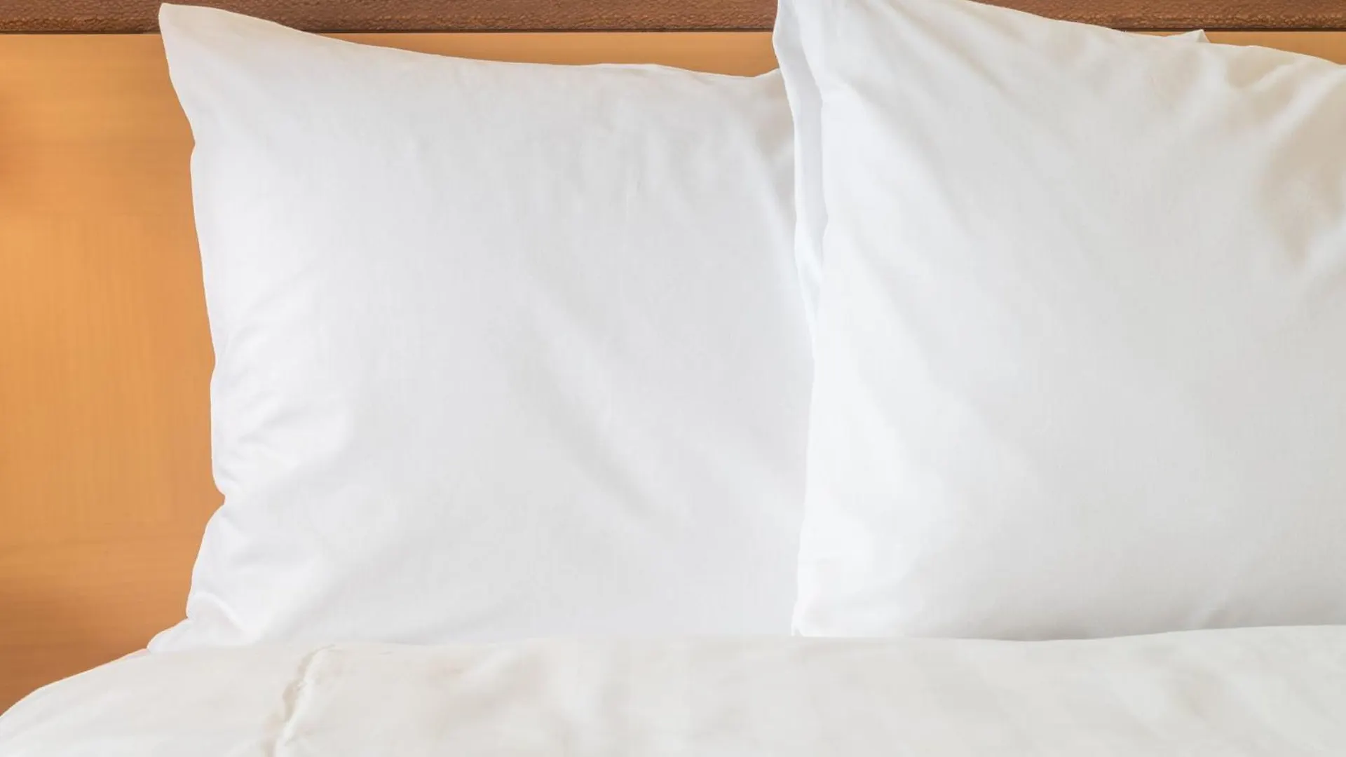 Best 2 Airport Hotels Near Great Wolf Lodge Concord for Easy Access